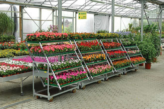 W555mm Horticultural Danish Trolleys , 4 Posts Plant Stand Rack