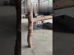 MGJY10-30WS double spindle log Multiple rip saw