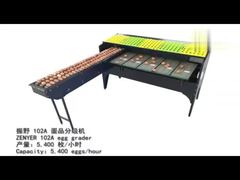 Egg grading machine