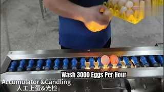 200A Egg Washer