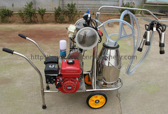 6mins Single Cow Milker , ISO Gasoline Engine Small Milking Machine For Cows