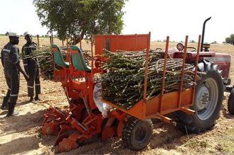 Flat 0.5ha/H Cassava Planter Machine 100hp Two Row Seed Planter