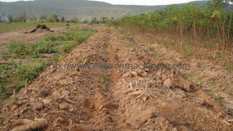 2 Harvesting Rows 1600mm Width Cassava Harvesting Machine