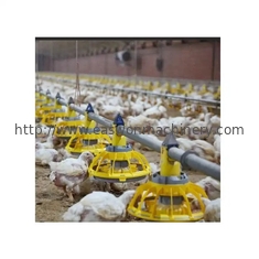 Environment Control Animal Husbandry / Poultry Farm Equipment Automatic Feeding Chicken