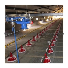 Environment Control Animal Husbandry / Poultry Farm Equipment Automatic Feeding Chicken