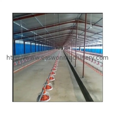 Automatic Poultry Control Shed Equipment For Chicken Broiler And Breeder