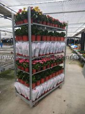 TPR Wheel Danish Flower Trolley