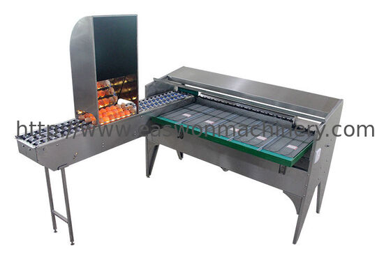 Stainless Steel Material 5 Grade Egg Sorter Grading and Candling Machine