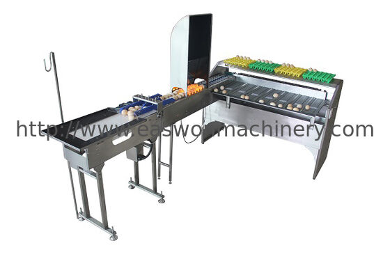 Stainless Steel Material 5 Grade Egg Sorter Grading and Candling Machine