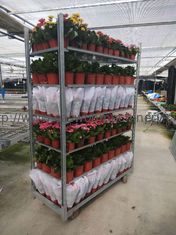 53.1x22.2x74.8inch Danish Flower Trolley ISO Garden Plant Cart