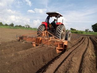 Tractor Mounted 8Ha/Day Cassava Planter Machine 4 Rows Tractor Drawn Ridger