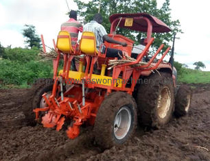 2 Rows Cassava Planter Machine Chop Length 19cm Agricultural Ridger