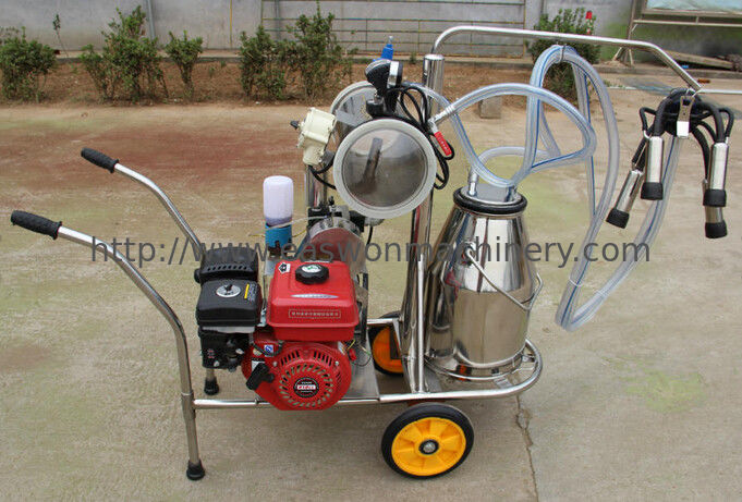 6mins Single Cow Milker , ISO Gasoline Engine Small Milking Machine For Cows